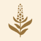 Millet Flours