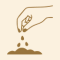 Seeds & Superfoods